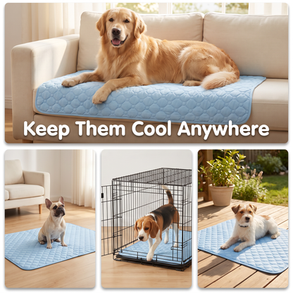 ThermaShift Mat— Summer Comfort for Your Pup 2.0