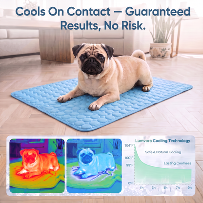 ThermaShift Mat— Summer Comfort for Your Pup 2.0